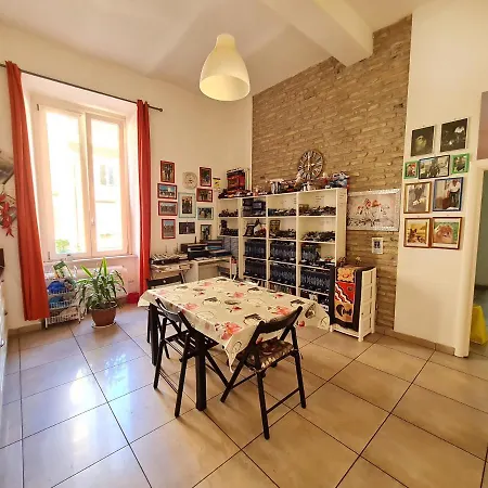 Sasha House *